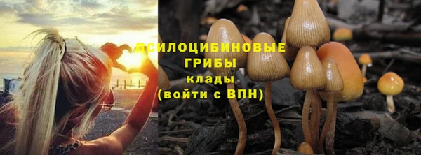 шишки Белокуриха
