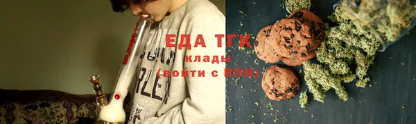 шишки Белокуриха