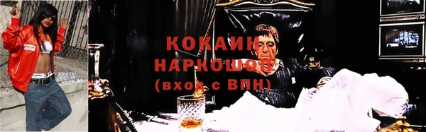 шишки Белокуриха