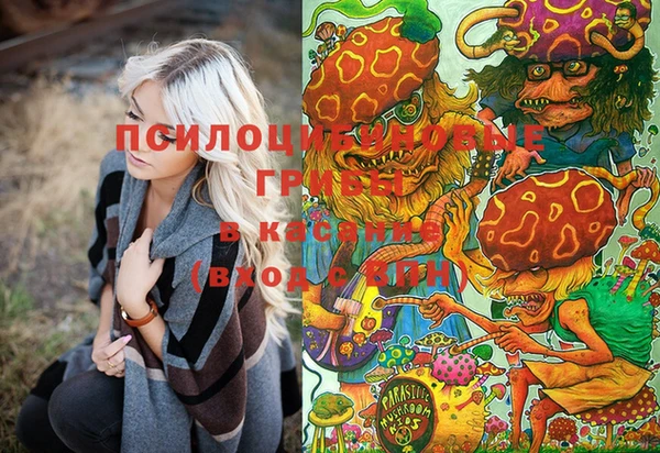шишки Белокуриха