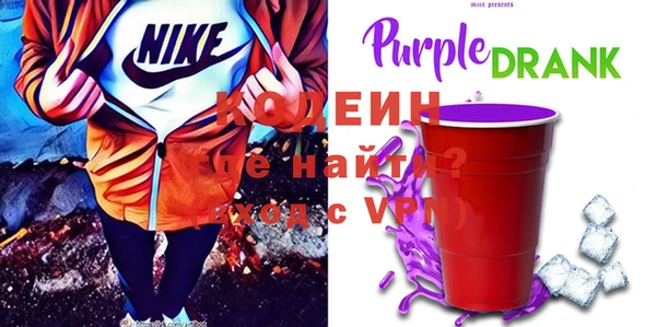 шишки Белокуриха
