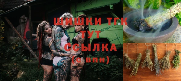 шишки Белокуриха