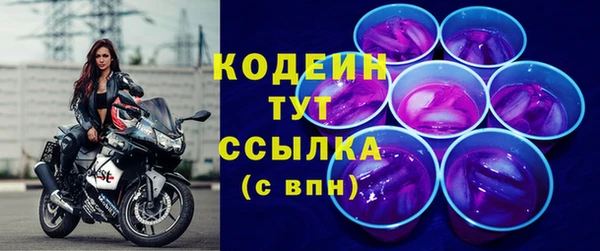 шишки Белокуриха