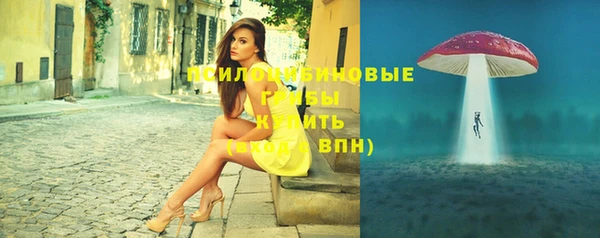 шишки Белокуриха