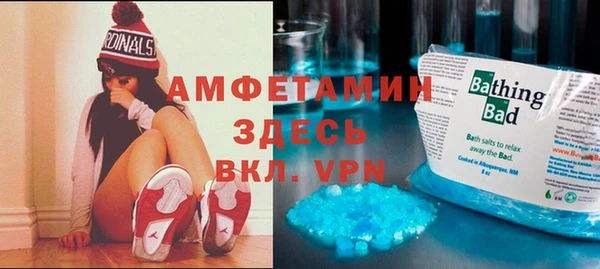 шишки Белокуриха
