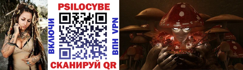 Псилоцибиновые грибы прущие грибы Купить закладки Высоцк